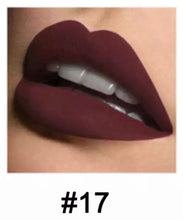 Load image into Gallery viewer, Plum Shade Waterproof Matte Velvet Glossy Lip Gloss #17